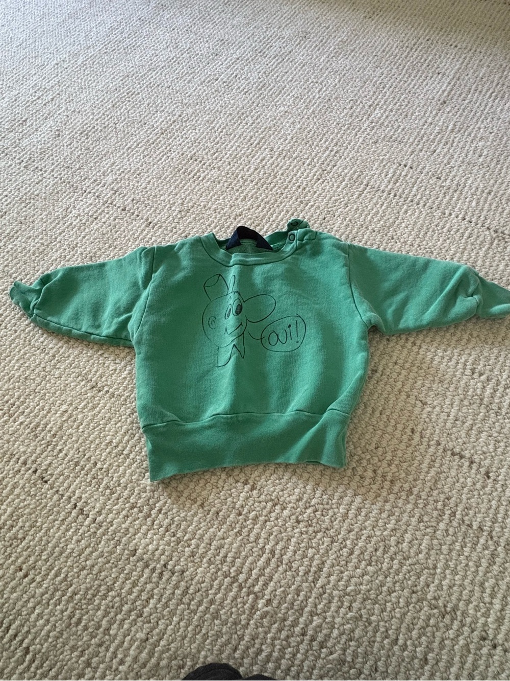 The Animals Observatory Baby Sweatshirt – Size 6M – Green Graphic Crewneck